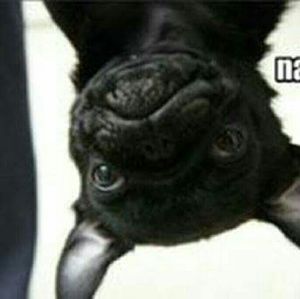 Meet your Posher, Raquel