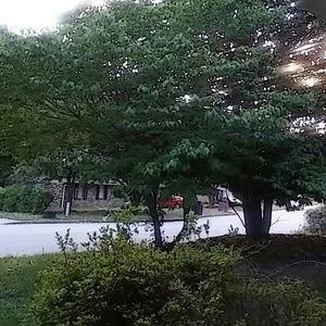 Meet your Posher, Brenda