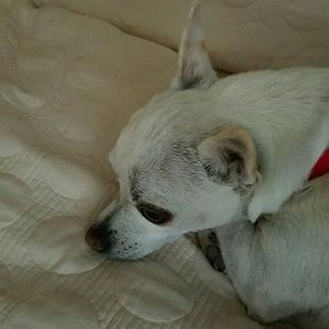 Meet your Posher, Becca