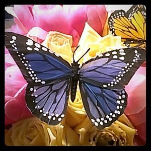 $5 everything going to goodwill this week