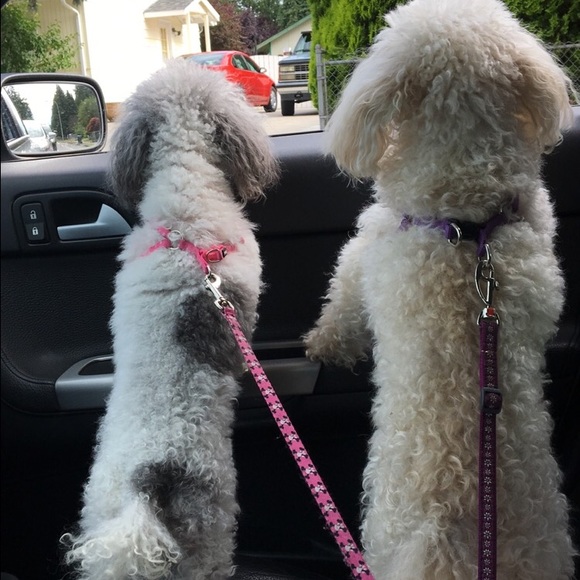 Meet your Posher, Kathy - Picture 3 of 4