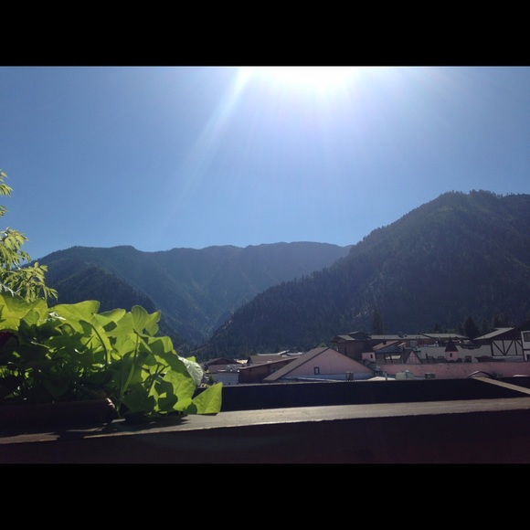 Meet your Posher, Kathy - Picture 4 of 4