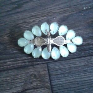 Dragonfly clip