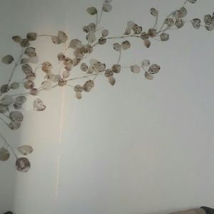 Meet your Posher, Lavene