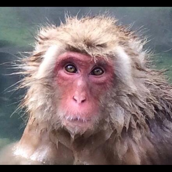 Meet your Posher, Jane - Picture 5 of 8