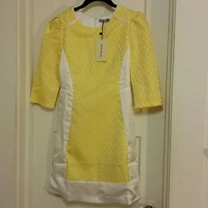 Beautiful Shift Dress