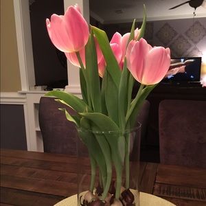 Meet your Posher, Kerri