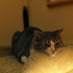 Meet your Posher, Robyn