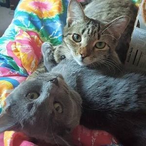 Meet your Posher, Tabitha