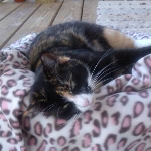 Meet your Posher, Kate