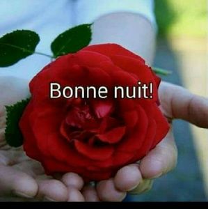 Meet your Posher, Pierre