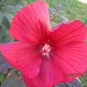 Meet your Posher, Tina