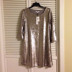 BB Dakota sequin pewter dress