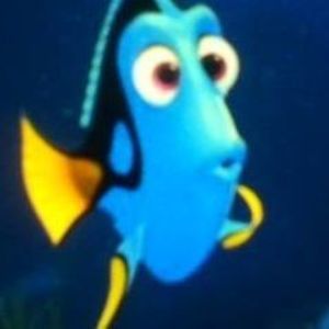 Meet your Posher, Diana