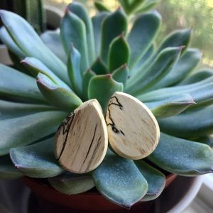 3/4" Teardrop Tamarind Wood Plugs