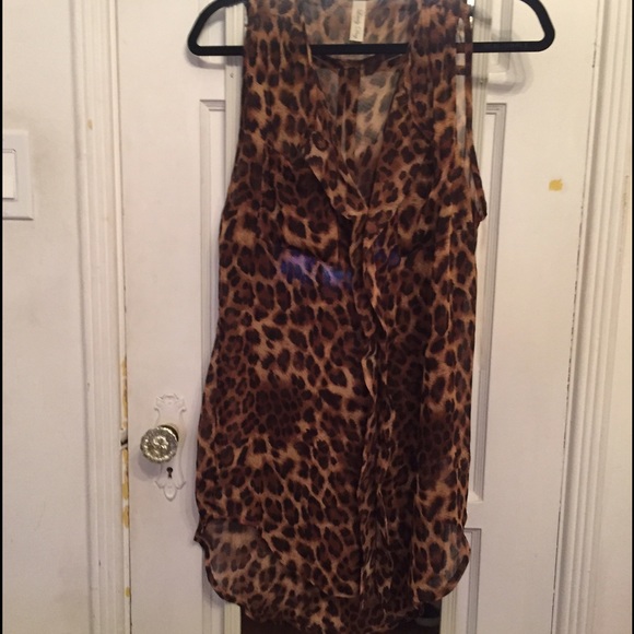 Leopard Sheer Blouse/ Dress