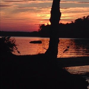 Meet your Posher, Tasha