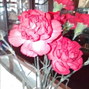 Meet your Posher, Irene