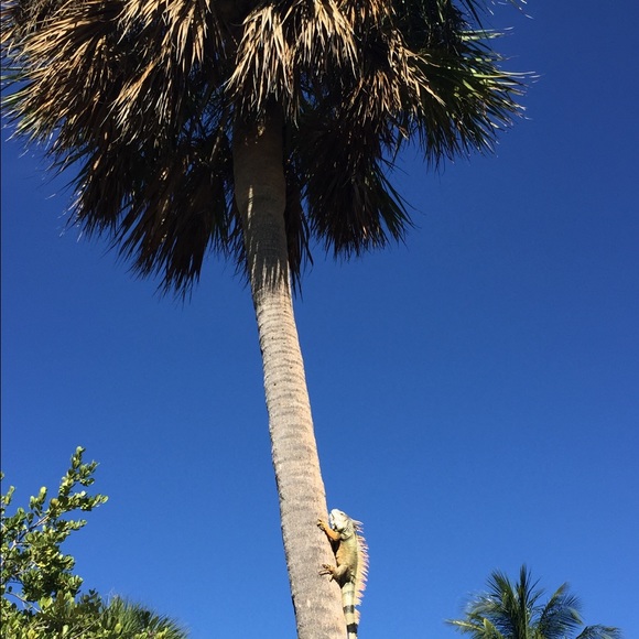 Meet your Posh Ambassador, Tonya - Picture 3 of 16