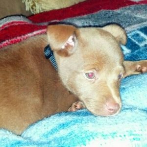 Meet your Posher, Nancy