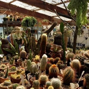 Meet your Posher, Chloe