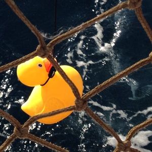 Meet your Posher, Ann