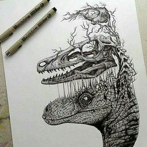 Meet your Posher, Annie