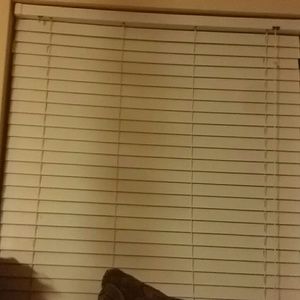 Meet your Posher, Mumtaz