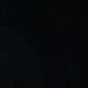 Meet your Posher, Riley