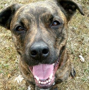 Meet your Posher, Victoria