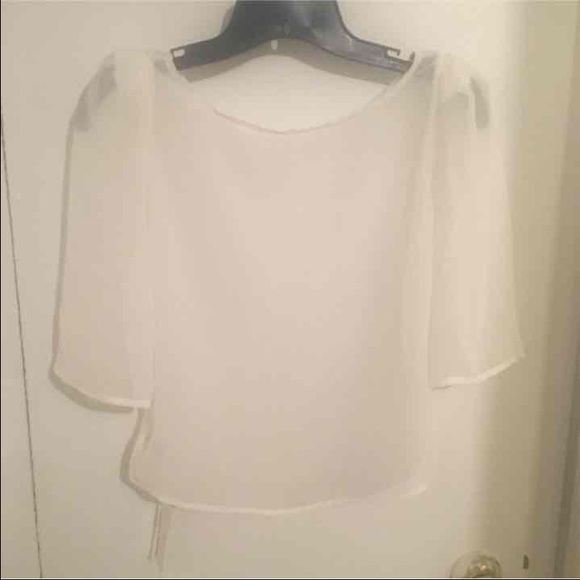 American Apparel Sheer Crop Top