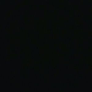 Meet your Posher, Audrey