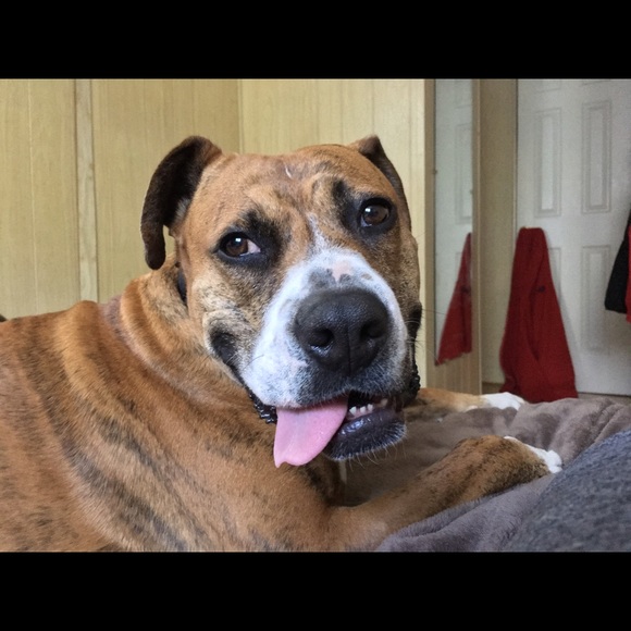 Meet your Posher, Monique - Picture 1 of 1