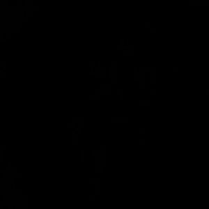 Meet your Posher, Bonnie