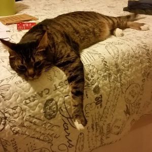 Meet your Posher, Anamaria