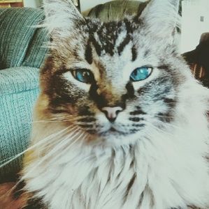 Meet your Posher, Breeana