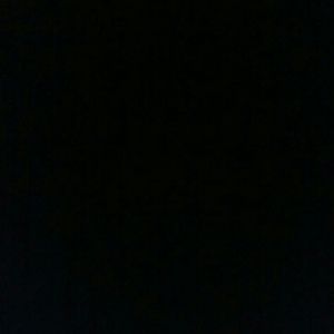 Meet your Posher, Freddie