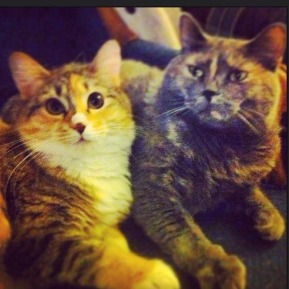 Meet your Posher, Keeley