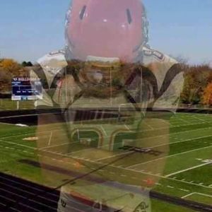 Meet your Posher, Collin