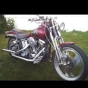 Meet your Posher, Timmy tisha