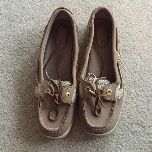 Angelfish Sperrys