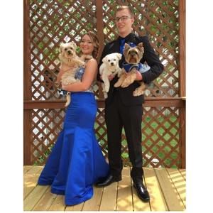 Meet your Posher, Taylor