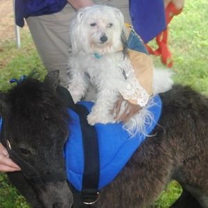 Meet your Posher, Jay