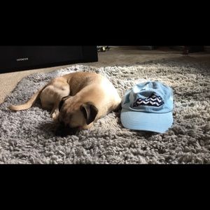 Kentucky hat NEW WITH TAGS!