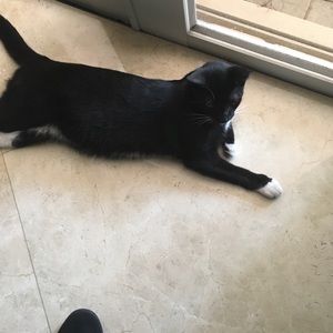 Meet your Posher, Melania