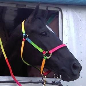 Meet your Posher, Kendra