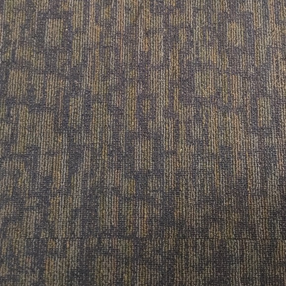 Meet your Posher, Carrie