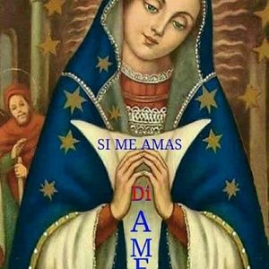 Meet your Posher, Ernesto