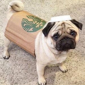 Meet your Posher, Darlene