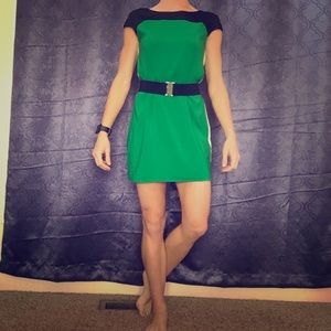 Express Dress - Fitted w Belt or Casual without